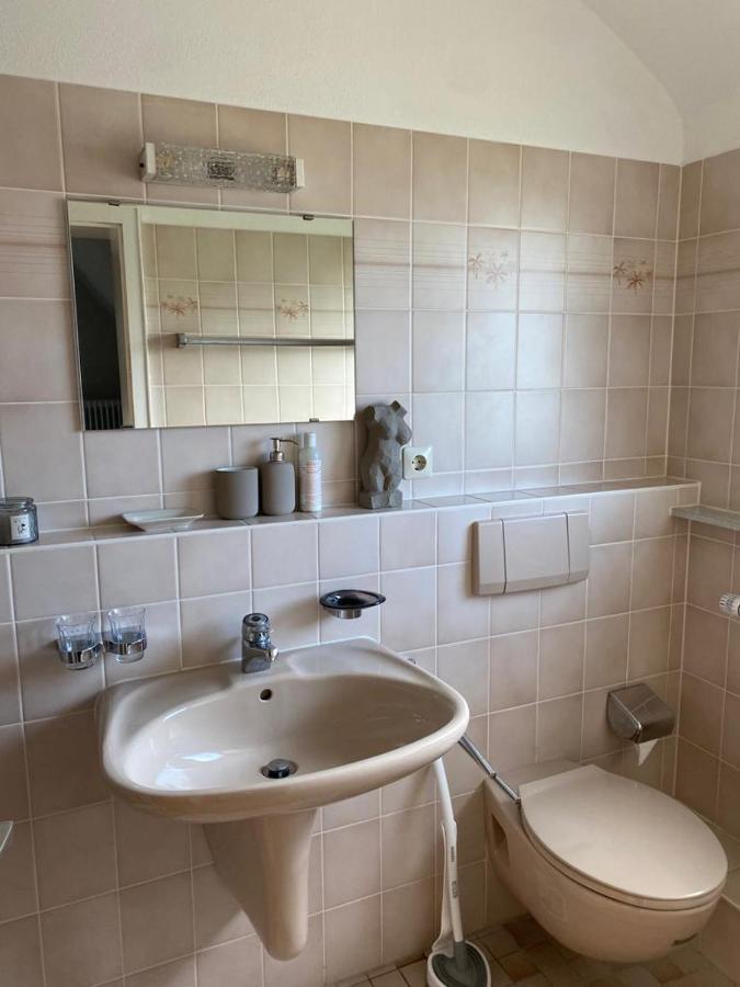 Ferienwohnung Vogesenblick Mullheim (Baden-Wurttemberg) Exterior foto