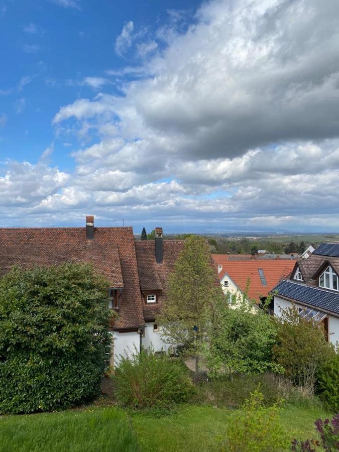 Ferienwohnung Vogesenblick Mullheim (Baden-Wurttemberg) Exterior foto